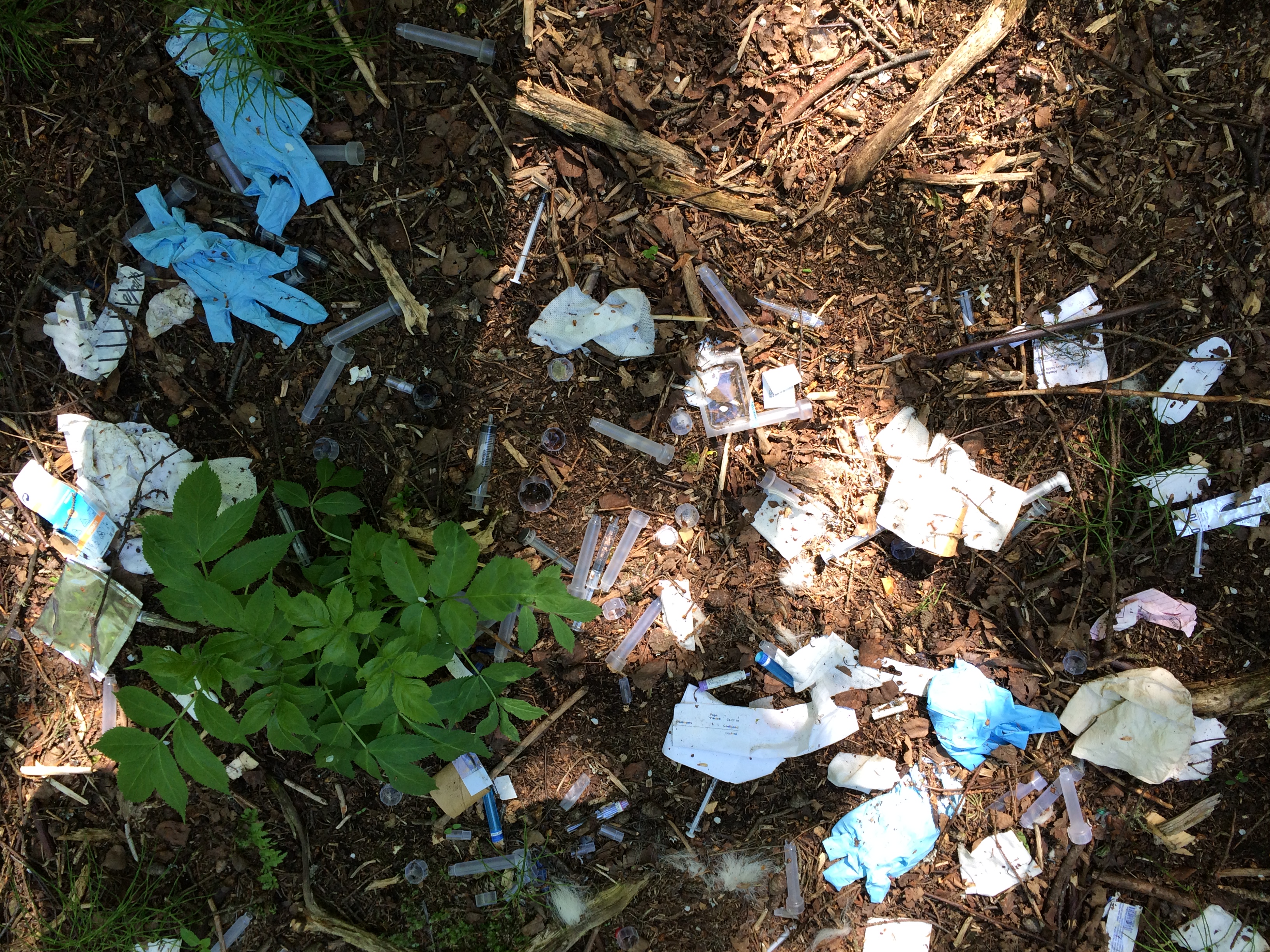 Trash near an abandoned camp site, including used needles. (Photo courtesy Russ Webb)