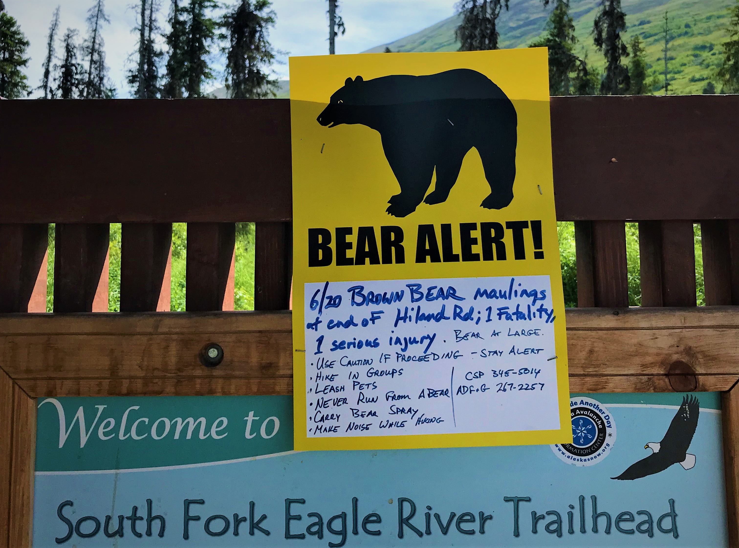 The Parks Department closed the South Fork Trail in Eagle River for a few weeks, but reopened it in late July. (Photo by Emily Russell/Alaska Public Media)