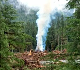 Excavators load trees and brush into a burn pile on July 17, 2018, on about 20 acres of land being cleared by the Central Council of Tlingit and Haida Indian Tribes of Alaska.