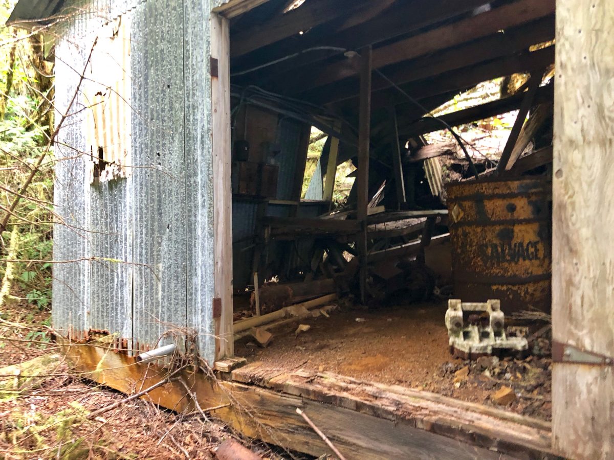 A tin shack stands at the site of the Londevan Prospect near Beaver Falls. (Photo by Lim Neimeyer/KRBD)