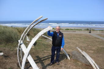 Oregon State University Marine Mammal Institute Director Bruce Mate posed Thursday beside a sculptural installation mimicking whale bones in Newport's Don Davis Park. (Photo by Tom Banse/Northwest News Network )