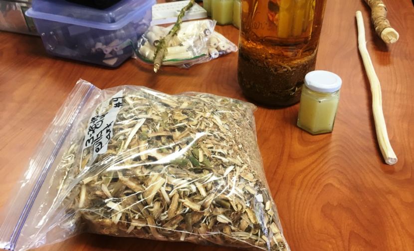 Merle Hawkins harvested and dried devil’s club bark for Indigenous Peoples Day on Oct. 8, 2018. Alaska Natives in Southeast have traditionally used the bark for medicinal tea and ointments.