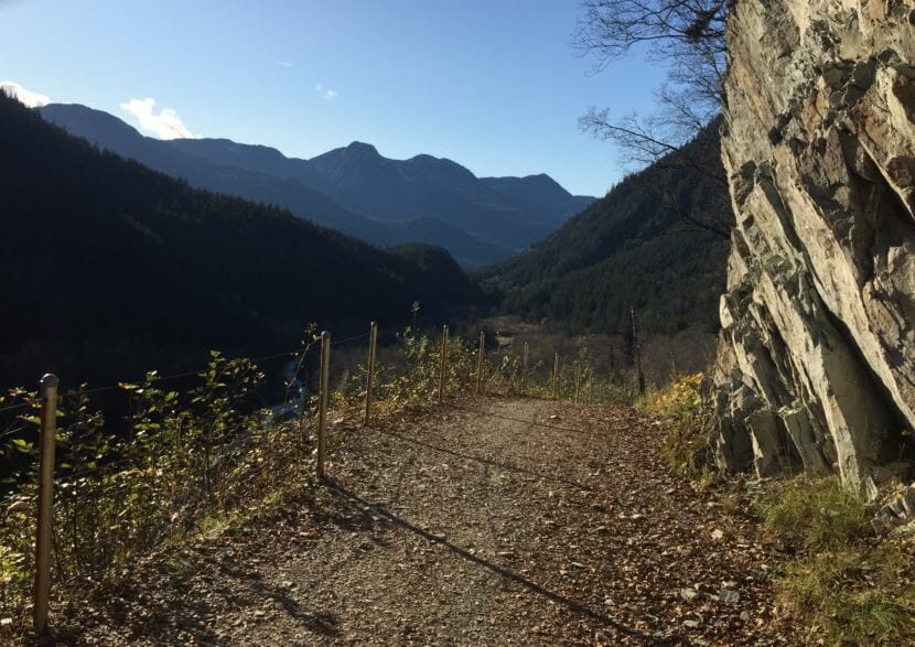 The view along part of Perseverance Trail. (Photo by Adelyn Baxter/KTOO)