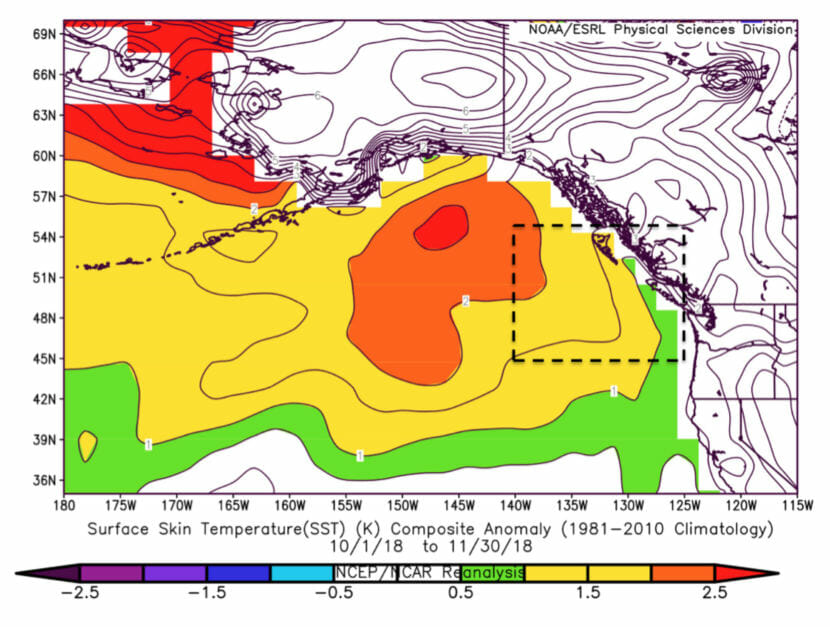 Map shows average increase in sea surface temperatures in the Gulf of Alaska from October through November 2018.