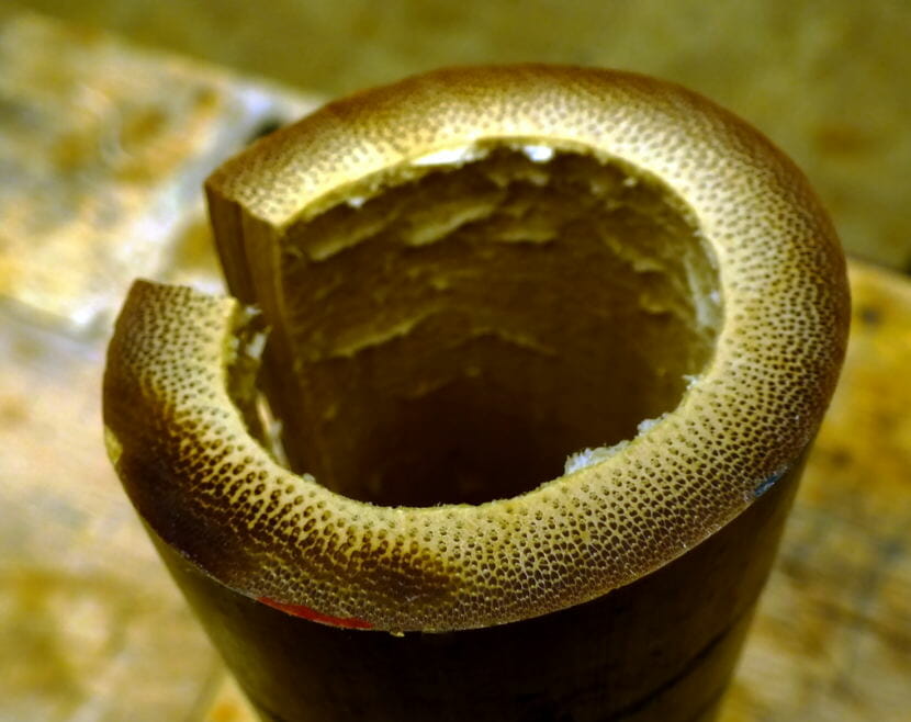 Cross-section of two-inch diameter piece of Tonkin bamboo shows the dark power fibers that gives the cane its strength. (Photo by Matt Miller)