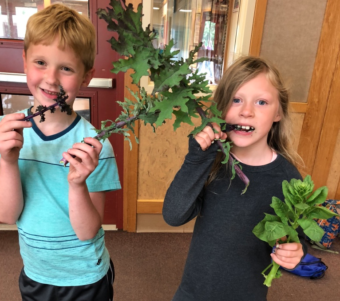 Nearly 200 elementary school students helped grow produce at Riverbend Elementary School in summer 2018. (Photo courtesy Karen Goodell)