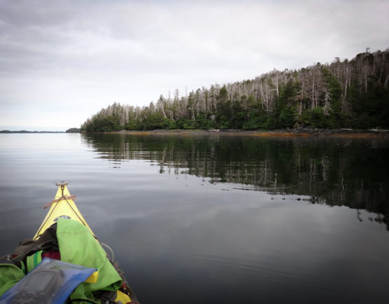 Lauren Oakes paddles to a research site in the West Chichagof-Yakobi Wilderness of Southeast Alaska. (Image credit: Lauren Oakes)