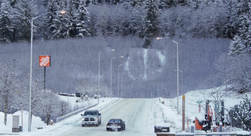 The alder trees -- and the peace sign among them -- at the end of Commercial Boulevard in Juneau are about 10 years old, pictured here on Jan. 8, 2019. The slope was cut and stabilized as part of the construction of the Home Depot.