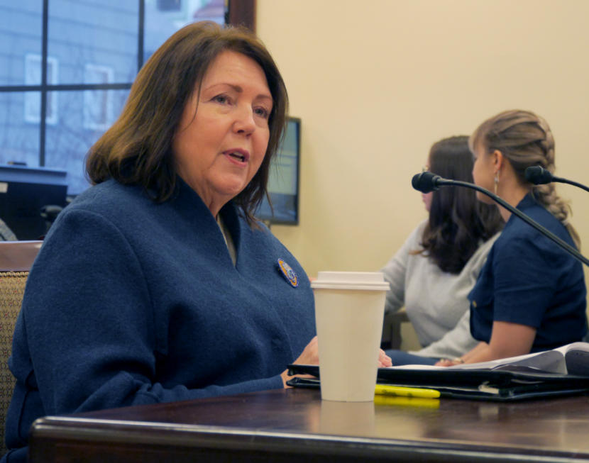 Department of Commerce and Economic Development Commissioner-designee Julie Anderson appears in a Senate Labor and Commerce Committee during a confirmation hearing in Juneau on Jan, 24, 2019.