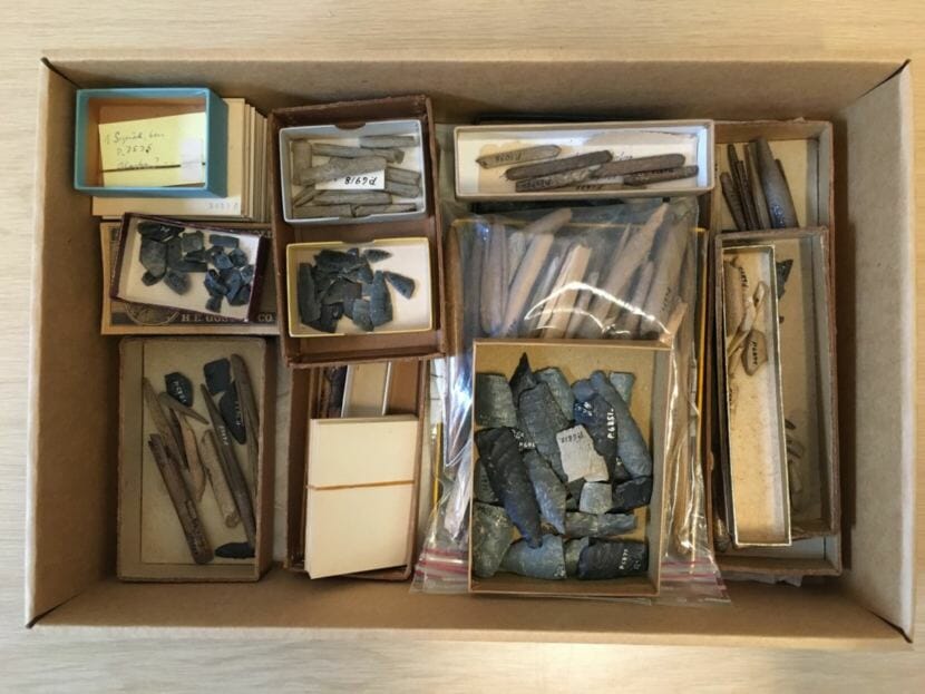 Artifacts from Helge Larsen’s 1949-50 excavations housed at the Danish National Museum in Copenhagen. The human tooth, rediscovered by Jeff Rasic in 2016, hadn’t ever been analyzed; it was lost to time, stored in a box like this one.