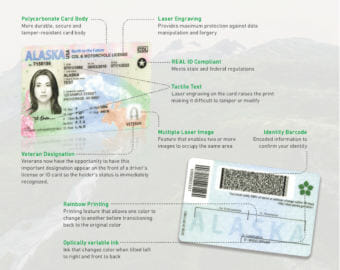 A diagram shows the features on Alaska's new REAL ID.