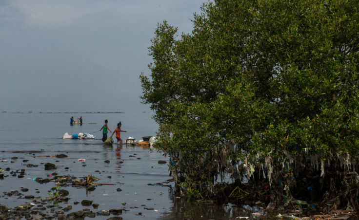 The islands that dot Manila Bay are like doormats for plastic trash that floats in from the ocean. (Photo by Jes Aznar for NPR)