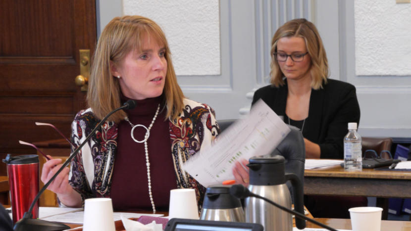 Sen. Natasha von Imhof, R-Anchorage, questions a presenter during a Senate Finance Committee meeting in Juneau on Jan. 16, 2019.