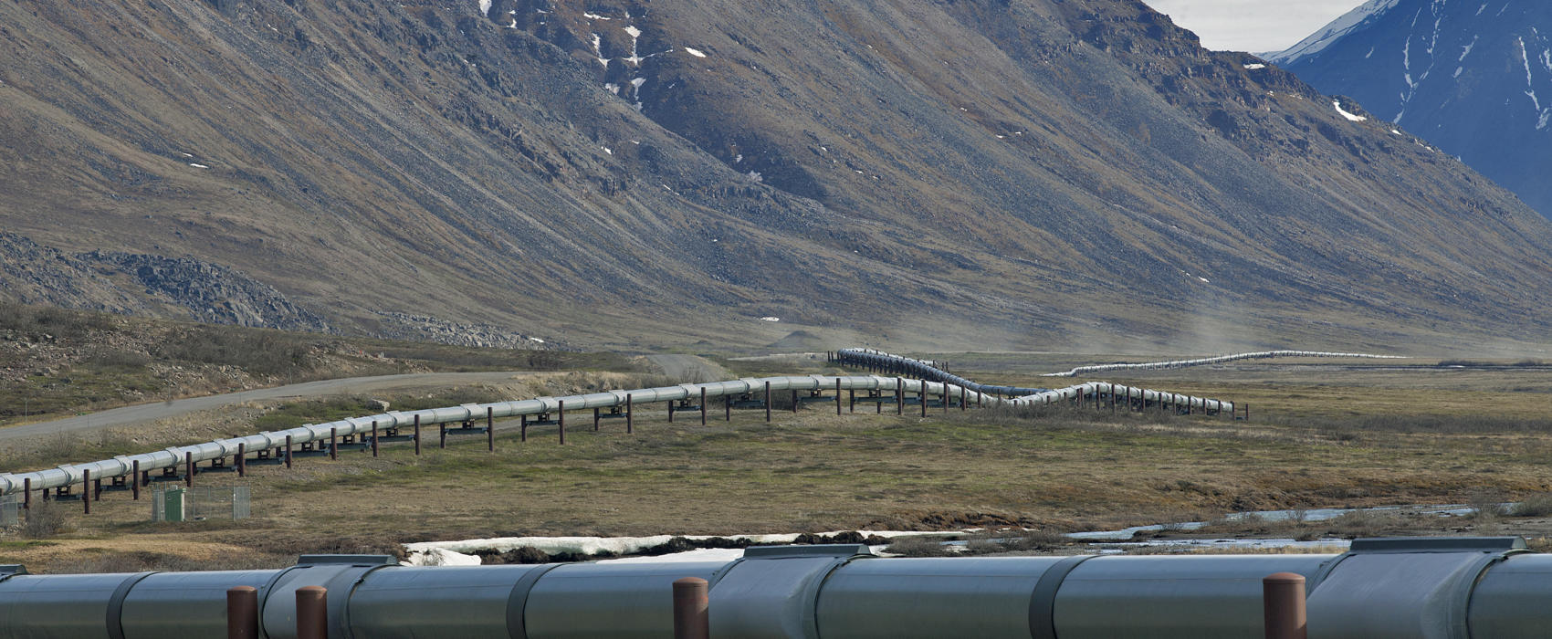 An above-ground section of the Trans-Alaska Pipeline System near the Toolik Lake Research Station in the North Slope Borough. (Photo by Rashah McChesney/Alaska's Energy Desk)