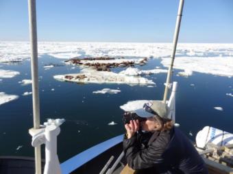 Biologist Lori Quakenbush monitoring arctic marine mammals.