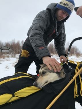Joar Leifseth Ulsom carried one dog into the checkpoint of Iditarod on March 7, 2019.