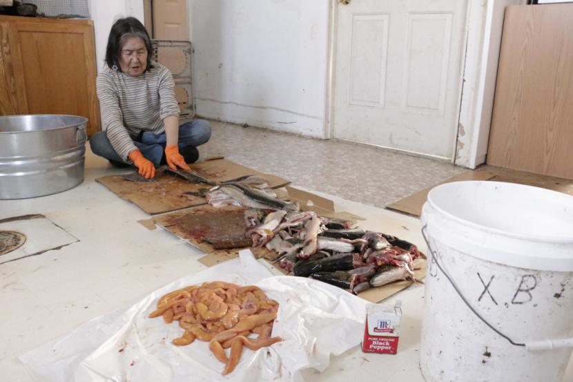 Xenia Black cuts fresh caught pike in her Eek home, rinsing the slabs with water from her kitchen sink on February 21, 2019. (Photo by Anna Rose MacArthur/KYUK)