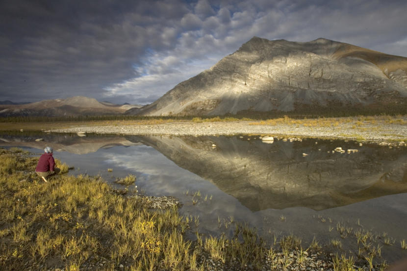 A view from the Arctic National Wildlife Refuge.