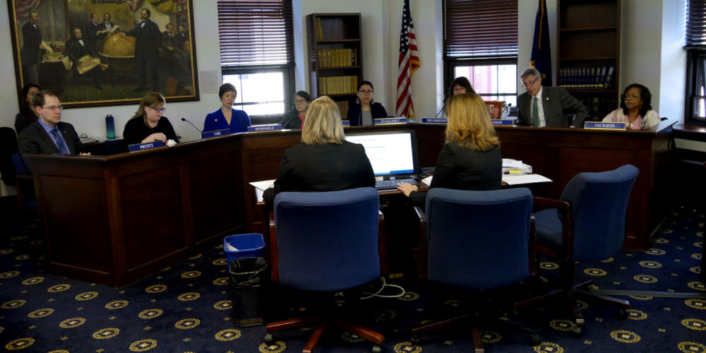 Department of Health and Social Services Deputy Commissioner Donna Steward, left, and Admin Services Director Sana Efird give an overview of Gov. Mike Dunleavy’s proposed changes to Medicaid to the House Health and Social Services Committee on March 19, 2019.