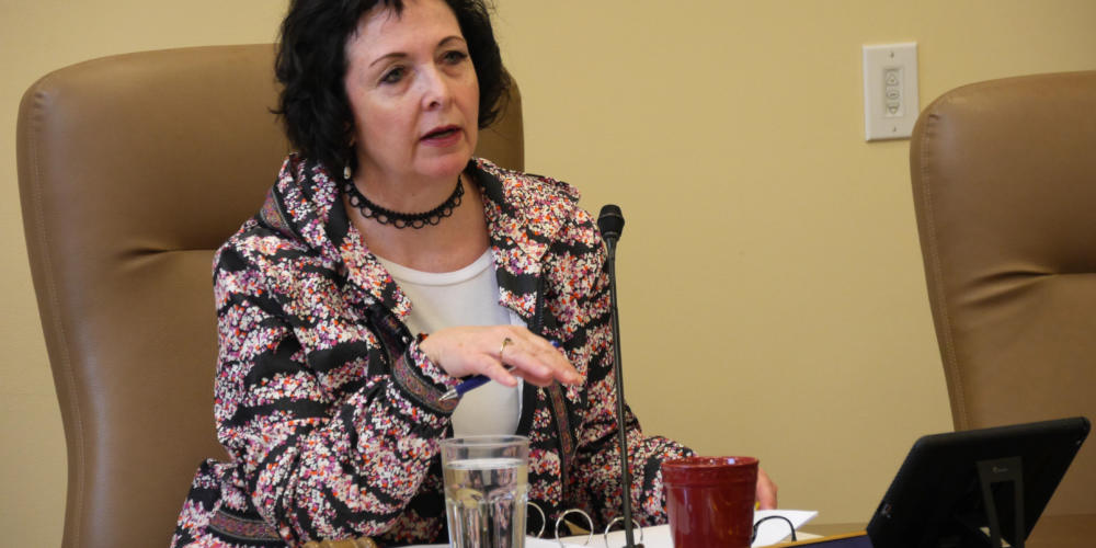 Sen. Shelley Hughes, R-Palmer, chairs the Senate Judiciary Committee in Juneau on March 22, 2019.