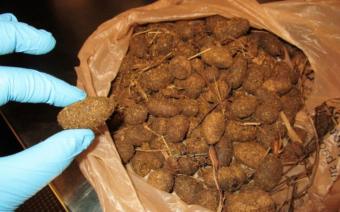 Someone took this sack of moose nuggets through airport security in Juneau on April 15, 2019. Screening equipment had flagged a "large organic mass" -- sometimes an indicator of explosives -- in the traveler's carry-on.