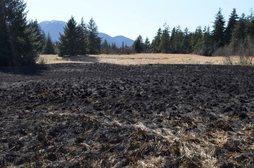 An area of grass approximately 400 feet by 400 feet caught fire Sunday afternoon near the corner of Sunset Street and Alaska Avenue in Lemon Creek. (Photo courtesy of Capital City Fire/Rescue)