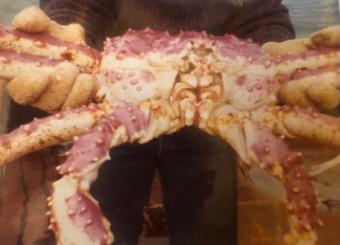 Mike DeVaney's photo from the 1980s of someone holding a king crab.
