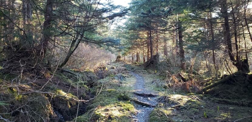 The Treadwell Ditch Trail on Douglas Island, pictured here on April 29, 2019, runs a gently sloped 14 miles from near Eaglecrest Ski Area into Douglas. Miners first cut the ditch and trail in the 1880s to supply water and power to the now flooded Treadwell Mine in Douglas.