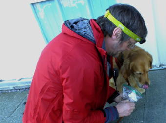 SEADOGS’ Geoff Larson introduces a gauze bandage with a missing girl’s scent to Tango, a 4-year-old Golden Retriever which is trained as a trailing or scent discerning dog. (Photo by Matt Miller/KTOO)