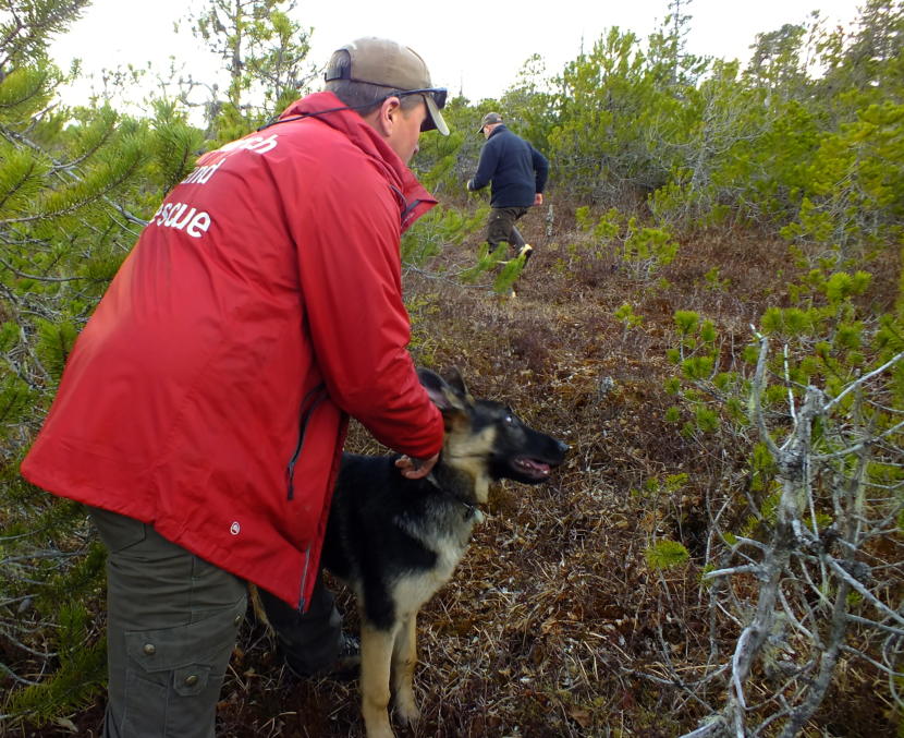 SEADOGS’ Liam Higgins holds on to Oskar, his 5-month-old German Shepherd, as a friend volunteers to run off into the muskeg with the dog’s favorite toy. (Photo by Matt Miller/KTOO)