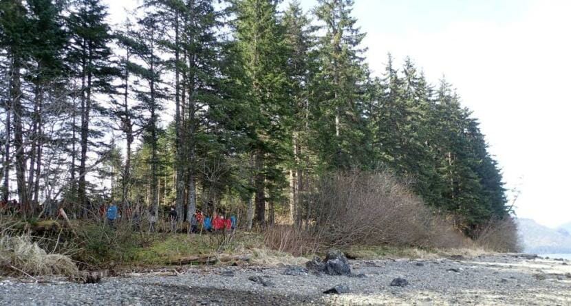 This forested area a half-mile from Hoonah’s Icy Strait Point will be the site of a 500-foot floating dock to accommodate Norwegian Cruise Lines megaships visiting Hoonah.