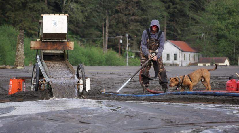 Nathan Brooks sprays seawater into the sand at the beach near Sheep Creek in Juneau on May 15, 2019, while his pitbull King watches. The slurry gets pumped to the top of his sluice box.