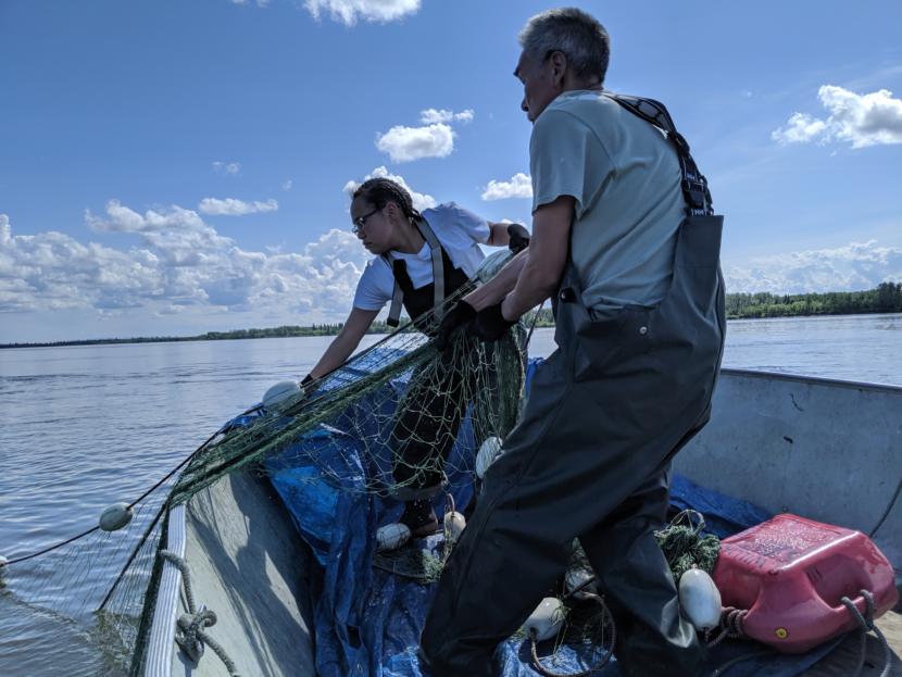 Mayor of Akiak, Bobby Williams, reels in his net with his daughter Margaret. (Photo by Greg Kim, KYUK – Bethel)