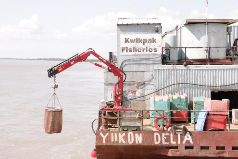 Kwik'Pak Fisheries in Emmonak, Alaska on July 15, 2019. (Photo by Anna Rose MacArthur/KYUK)