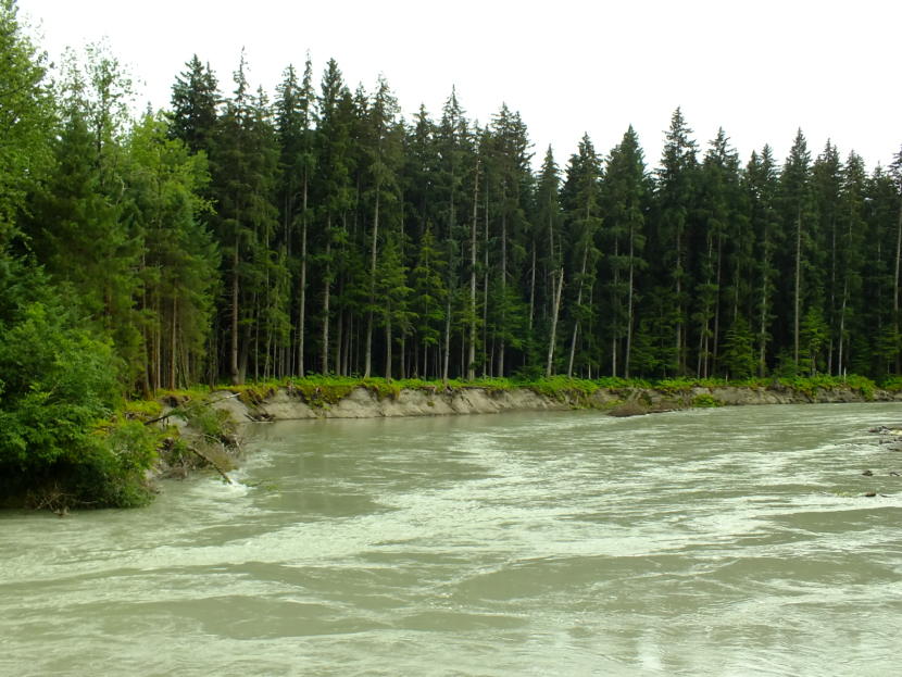 View from Meander Way of Mendenhall River as water levels begin to rise on July 14, 2019.