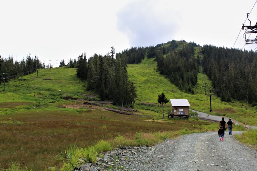 This summer, Eaglecrest announced a $35 million development plan with a slew of new summer attractions, topped by an $11 million gondola to bring tourists to the top of the mountain. (Photo by Adelyn Baxter/KTOO)