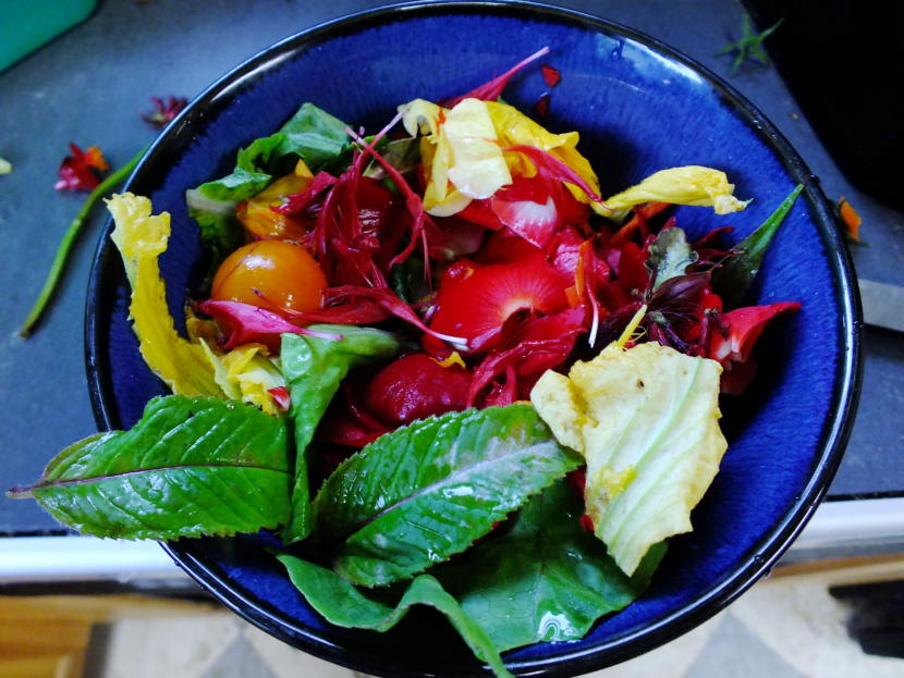 Beebom, nasturtium, and begonia flowers liven up what would've been a routine and forgettable salad.