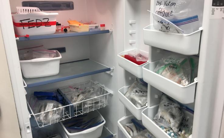A freezer full of samples at NOAA's Ted Stevens Marine Research Institute, photographed on Aug. 1, 2019. (Photo by Zoe Grueskin/KTOO)