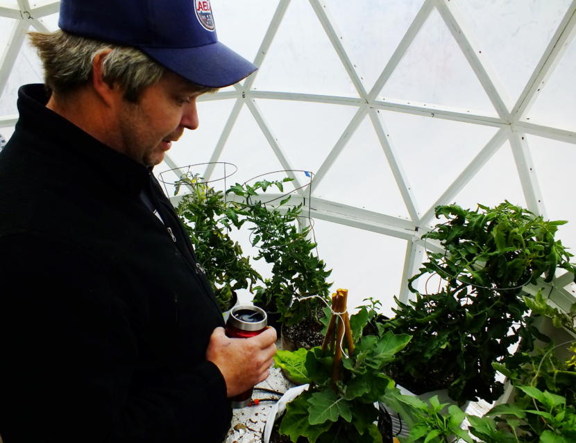In this picture taken in early June 2019, tomatoes, peppers, and other vegetables thrive in the scratch-built geodesic greenhouse that Tom Lafollette made at the Annex Creek Hydroelectric Facility in Taku Inlet. Lafollette explains that he's set up an automated watering and venting system to keep the plants watered and the greenhouse ventilated.