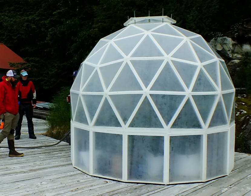 In this picture taken in early June 2019, Tom Lafollette, caretaker of the Annex Creek Hydroelectric Facility in Taku Inlet (obscured behind left side of greenhouse), explains to visitors how he built this scratch-built geodesic greenhouse for growing tomatoes, peppers, and other vegetables. The greenhouse is about 10 feet in diameter and is a slightly smaller version than a previous greenhouse he constructed from plans.
