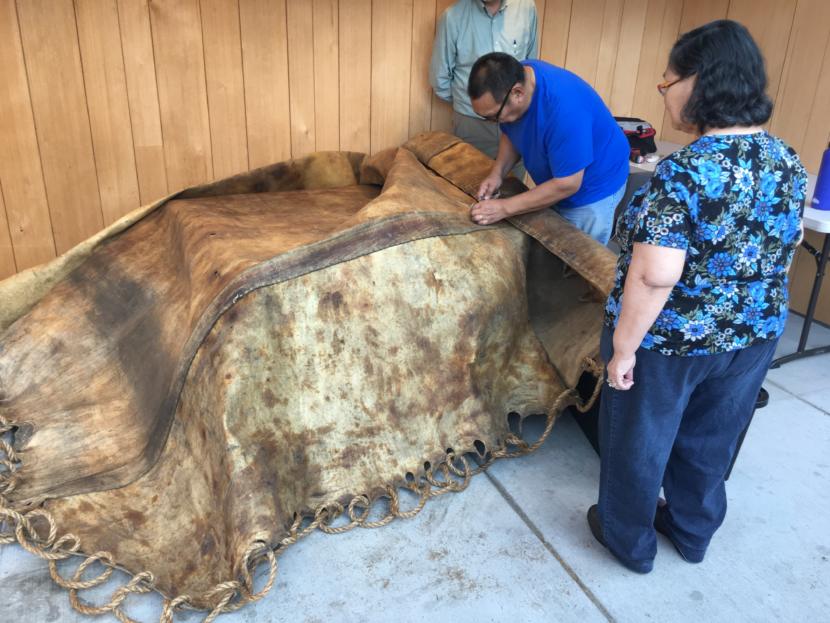 John Waghiyi, Jr. finishes work on a walrus-hide blanket in Juneau on Aug. 29, 2019. Waghiyi and his wife, Arlene (right), were artists-in-residence at the Sealaska Heritage Institute. (Photo by Zoe Grueskin/KTOO)