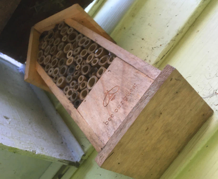 This is the second year that this beehouse has remained vacant in a North Douglas yard.