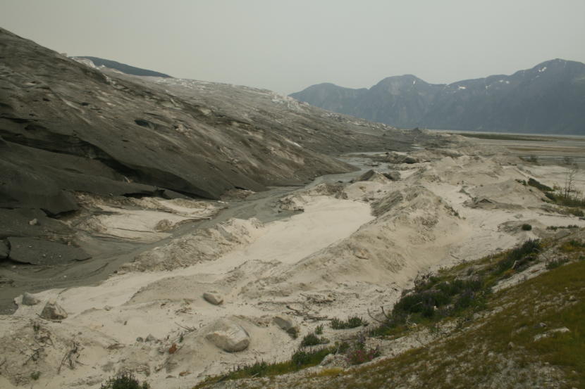 View of the terminus or leading edge of Taku Glacier (upper left) in June 2019. The moraine, or sand and gravel pile pushed ahead by the glacier (bottom and lower right), has been revealed as the glacier thins and retreats. Vegetation is already growing in the moraine. (Photo courtesy of Jason Amundson)