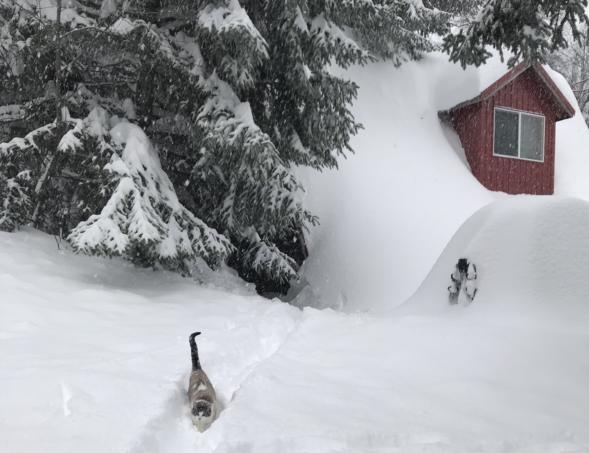 Winter weather, ferry cancellations and road closures disrupt travel in ...