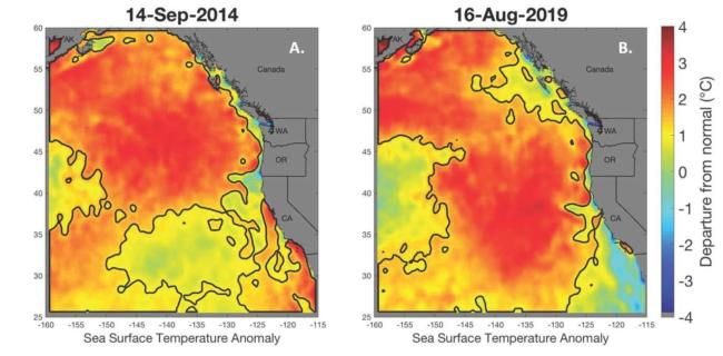 A second ‘Blob’ marine heat wave has disappeared, but the warming trend ...