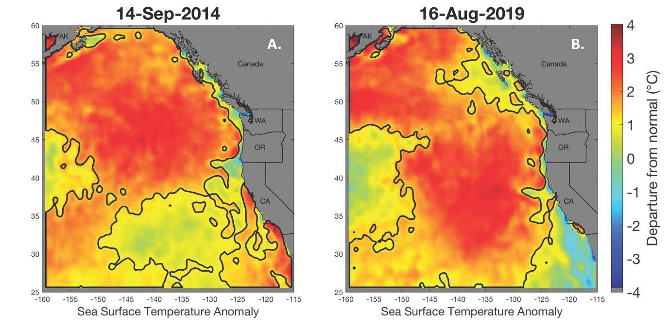 A Second ‘blob’ Marine Heat Wave Has Disappeared, But The Warming Trend 