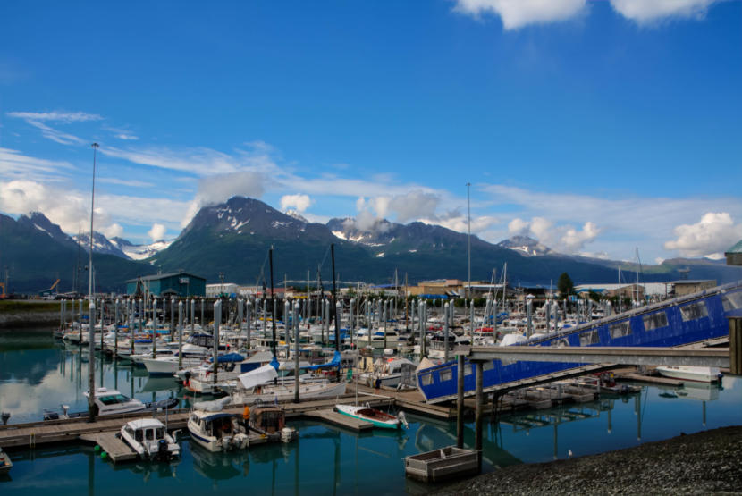 The City of Valdez harbor in 2014. (Creative Commons Photo courtesy Ronald Woan/Flickr) 