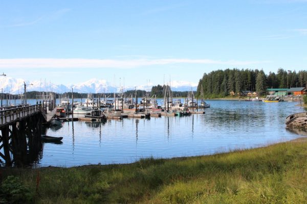 The Yakutat Harbor in August 2017. The small community of around 600 people now has five cases of coronavirus, according to local health officials. (Emily Kwong/KCAW)