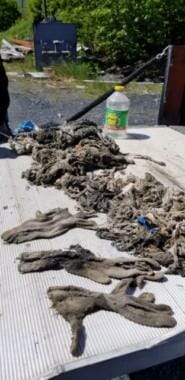 A pile of soggy, dirty gloves and masks that were pulled out Kodiak sewers.