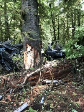 The wreck of the SUV among trees